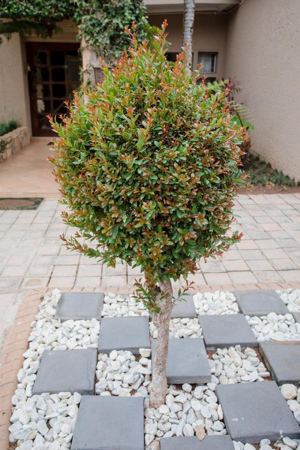 4 Gazelle Guesthouse Mbombela Exterior foto